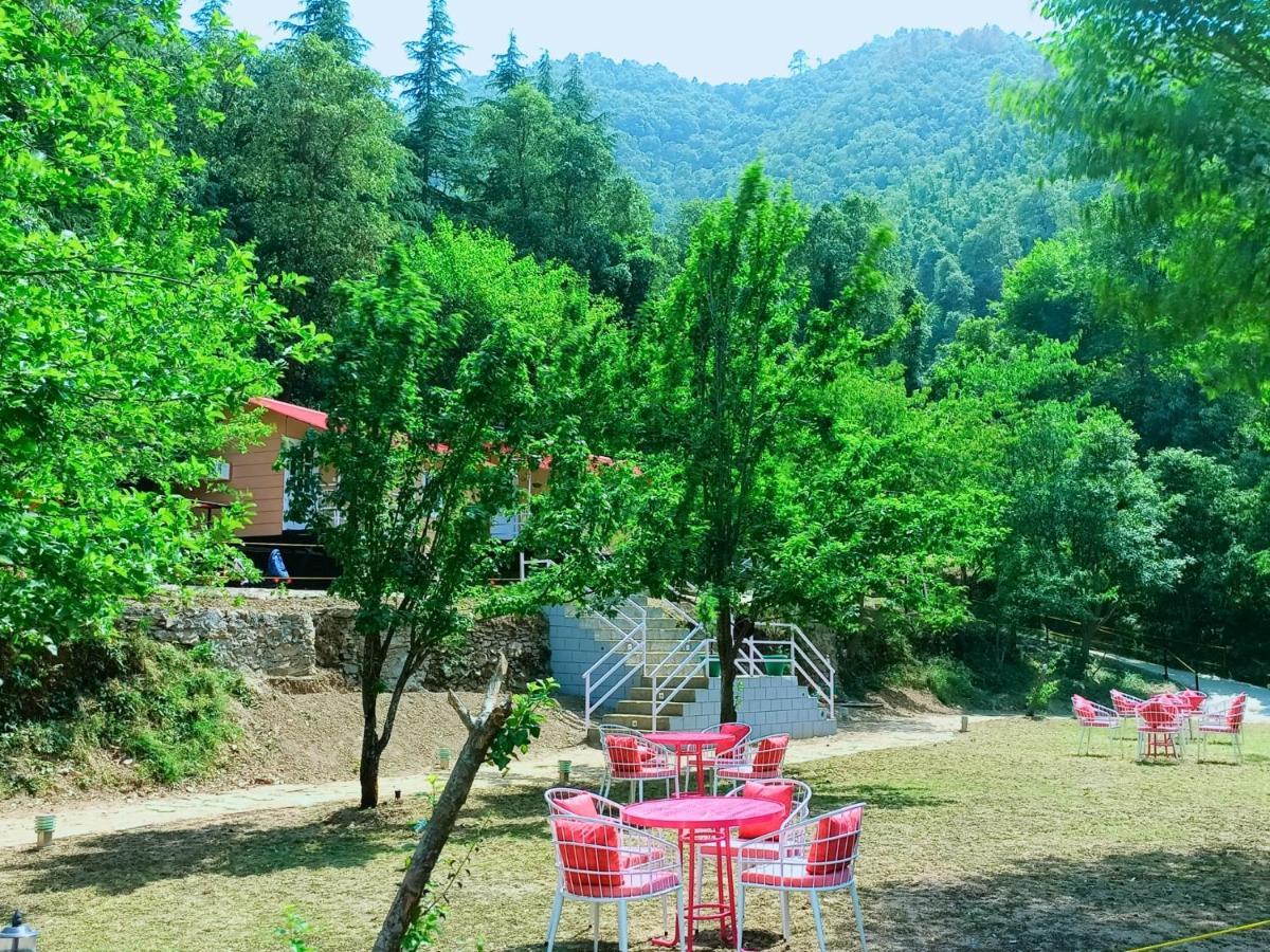 Aaroham Resort, Shimla Eksteriør bilde