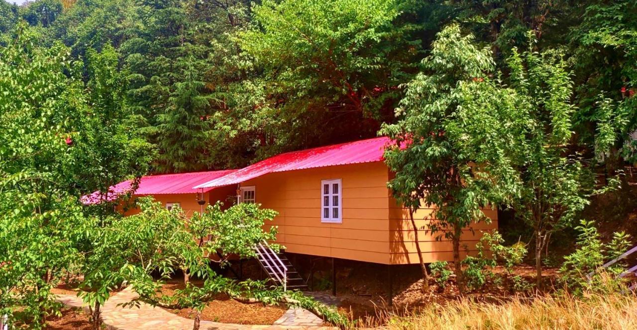 Aaroham Resort, Shimla Eksteriør bilde